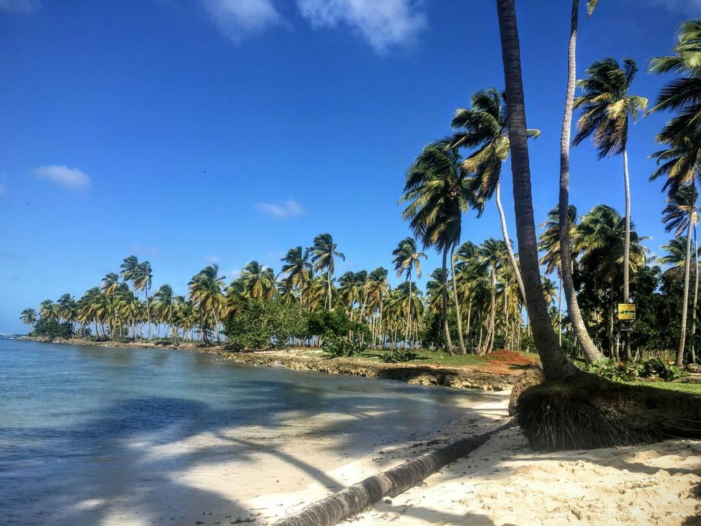 Villa La Caleta Las Galeras Exterior photo