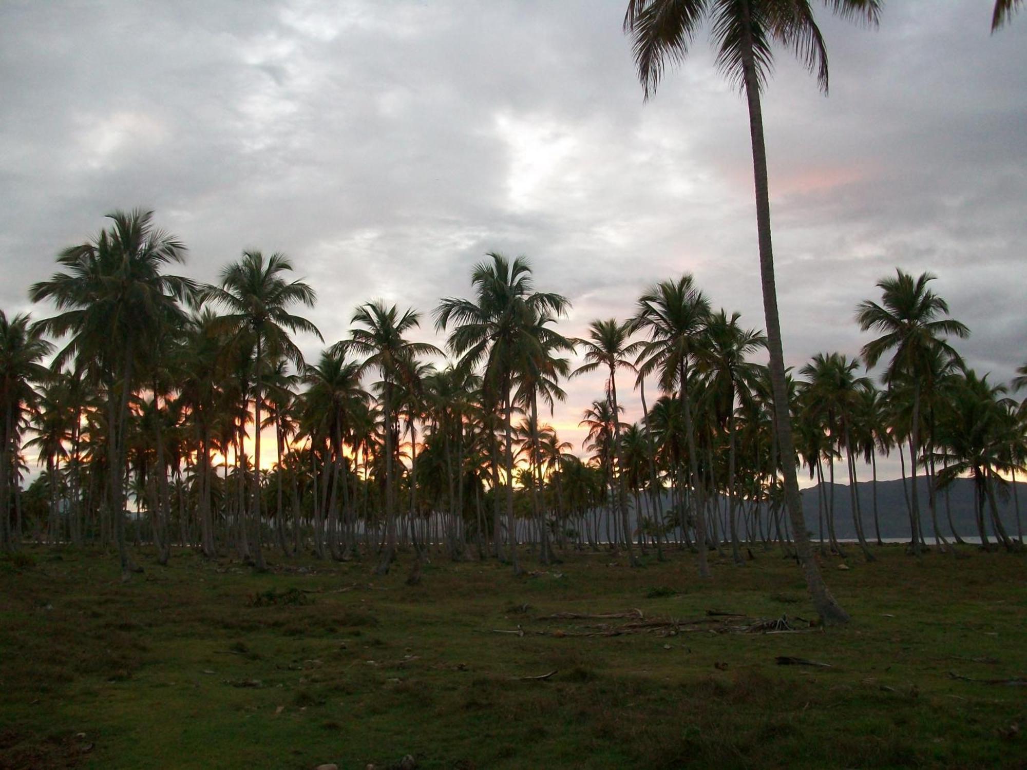 Villa La Caleta Las Galeras Exterior photo