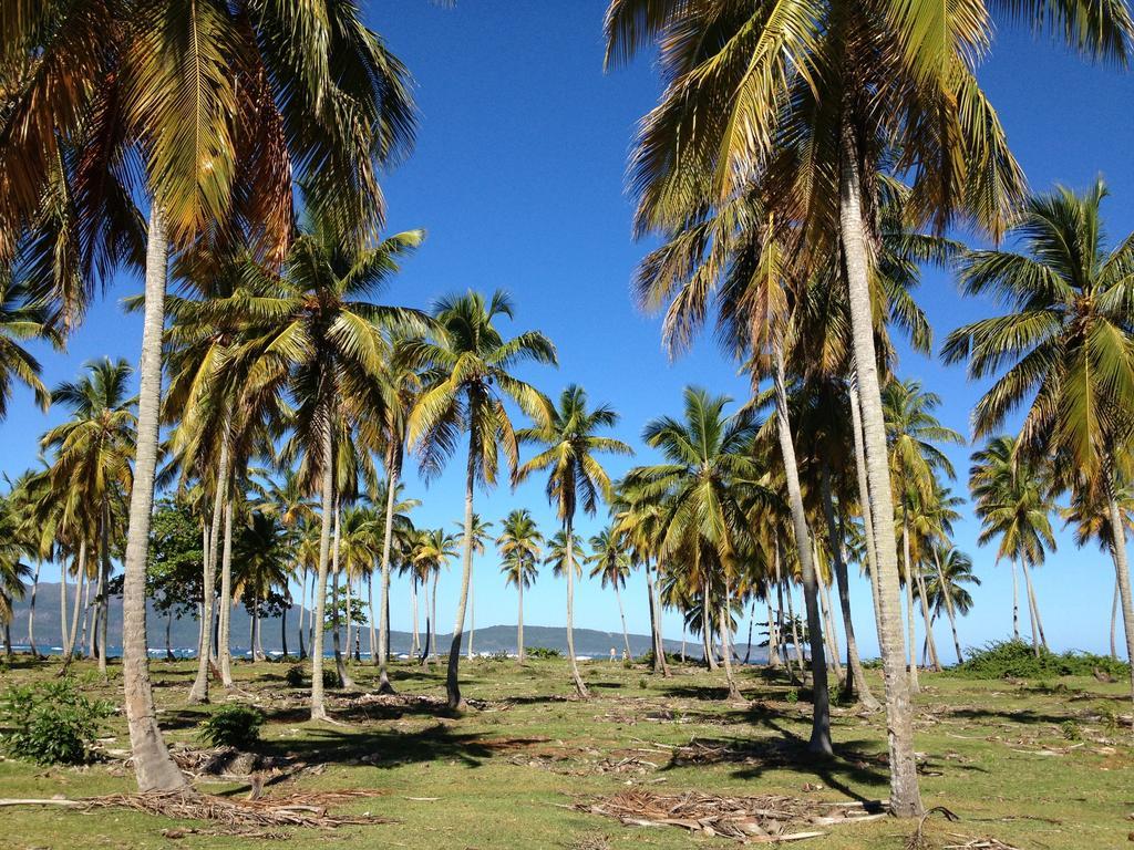 Villa La Caleta Las Galeras Exterior photo