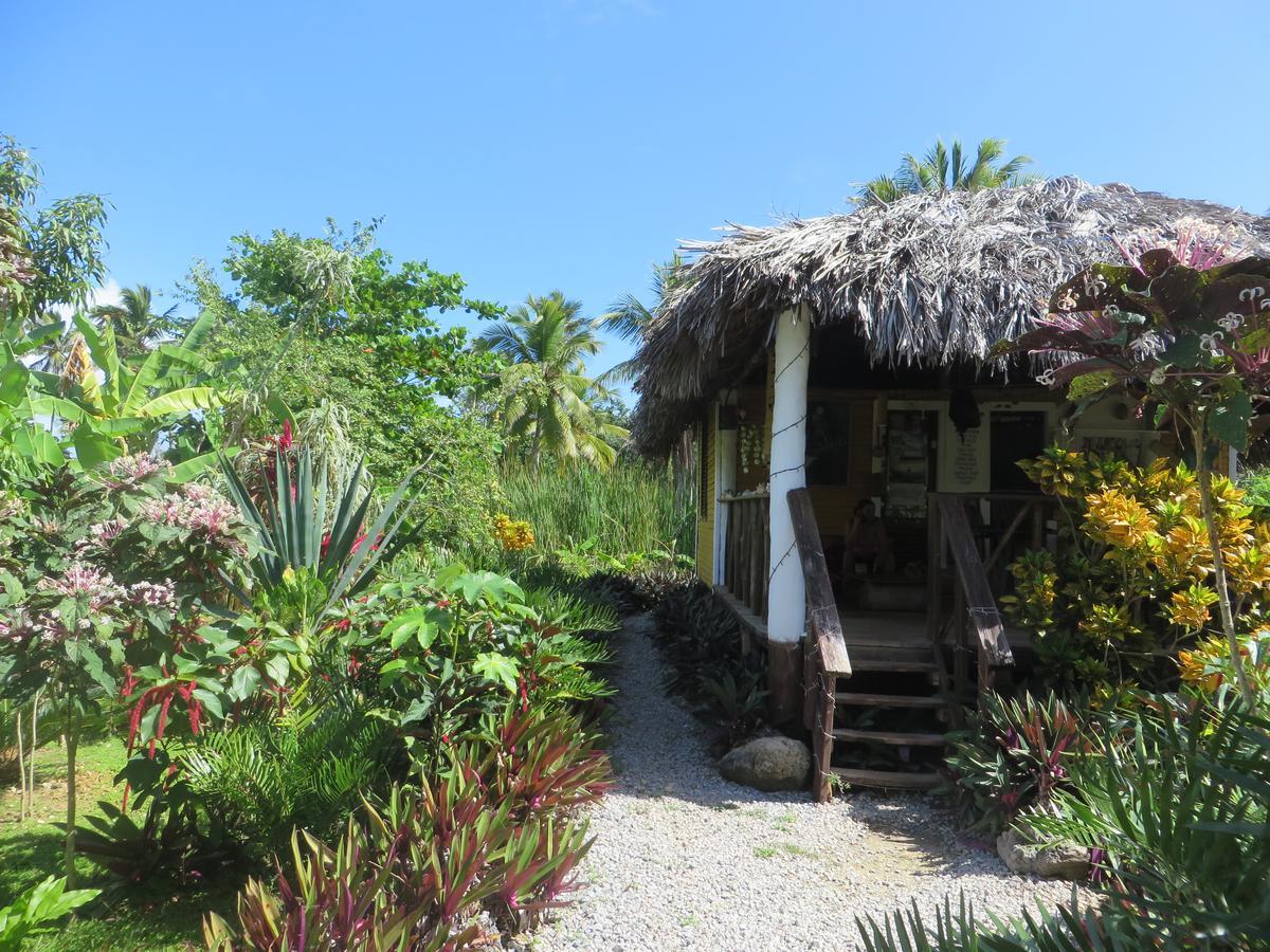 Villa La Caleta Las Galeras Exterior photo